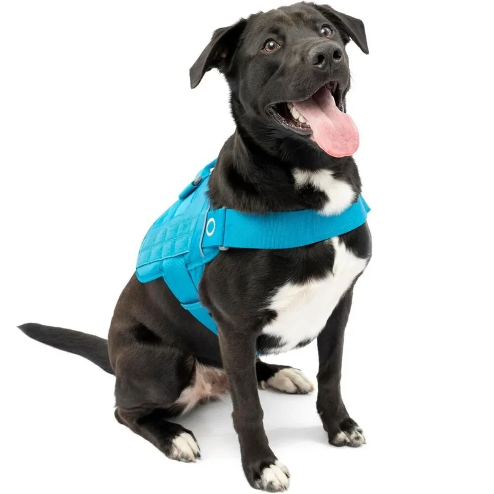 NEW‎ Kurgo RSG Dog Townie Harness, Blue - Size XL